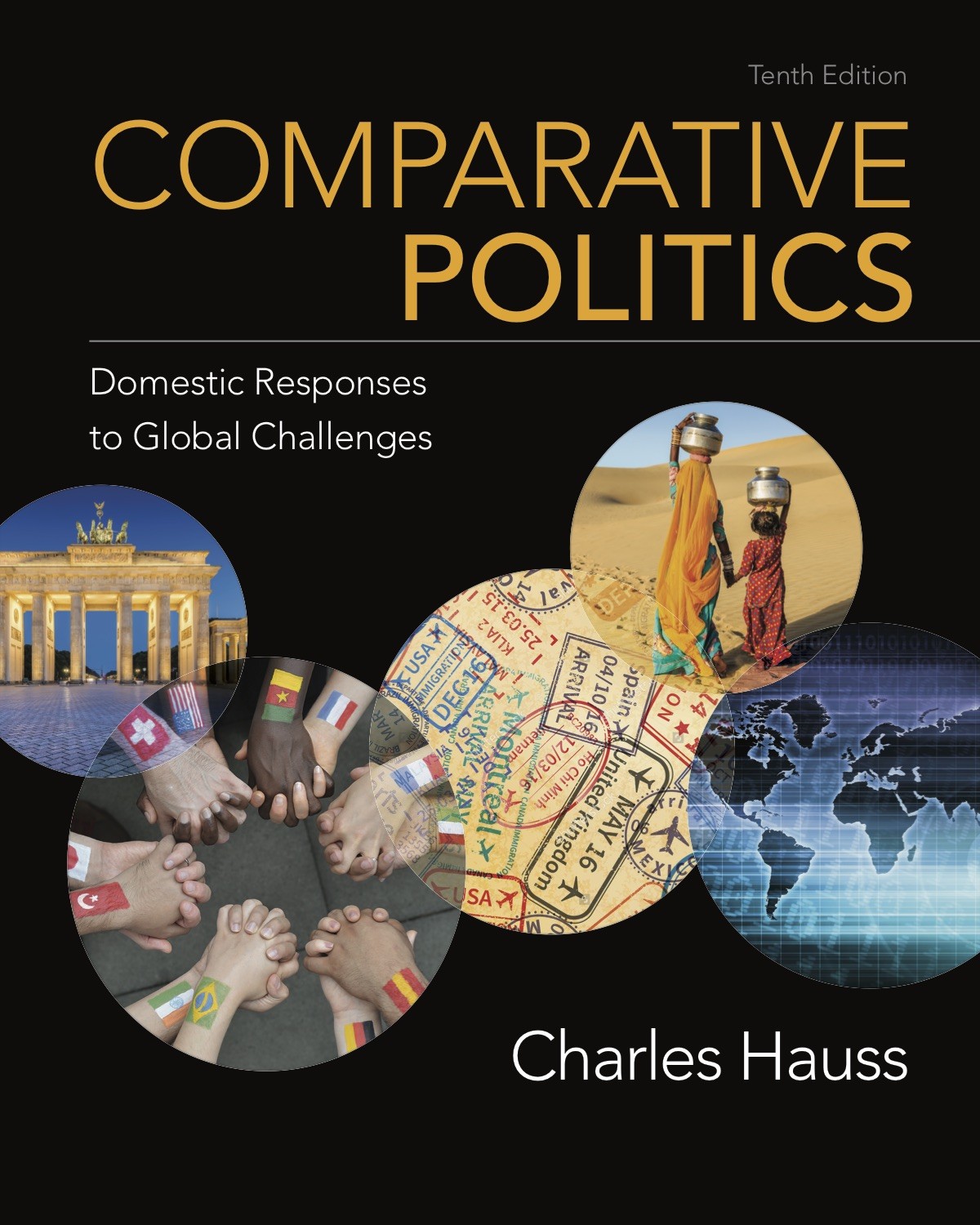 comparative-politics-chip-hauss