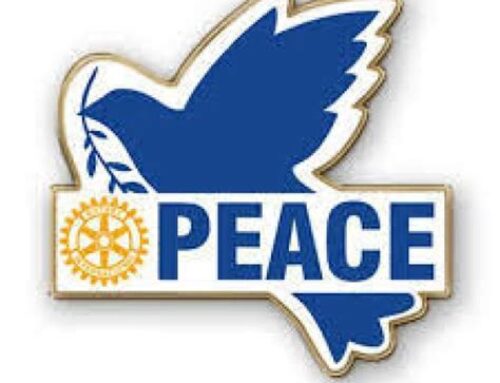 Rotary and Peacebuliding