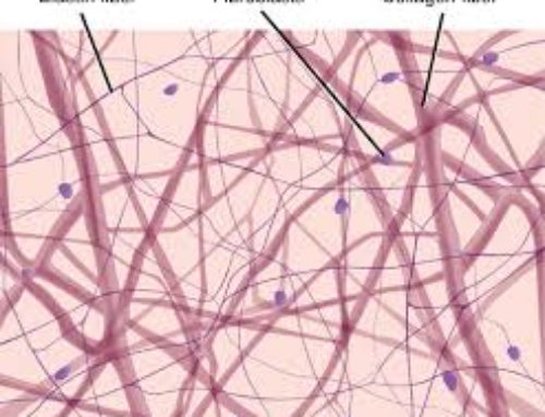 Connecting–Dots, People, and Neighbors